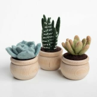 A kit to create needle felted succulent plants in pots.